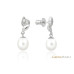 Earrings :: SK17102E / 2453
