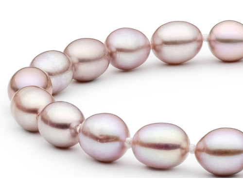 Браслет :: FCL365-B / 3147 Браслет :: FCL365-B / 3147