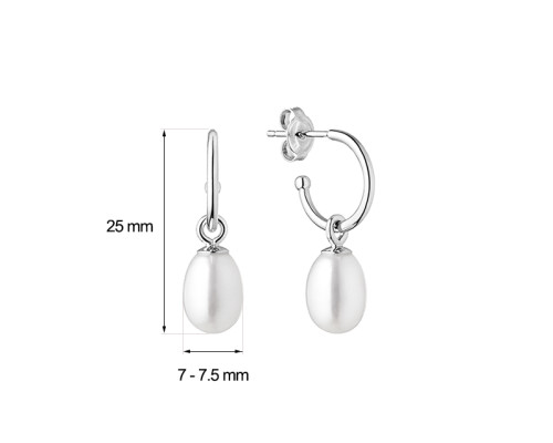 Earrings :: MS20494E / 3707