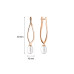 Earrings :: SK20487GEL / 3733