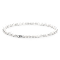 Necklace :: FARWY685  / 4023