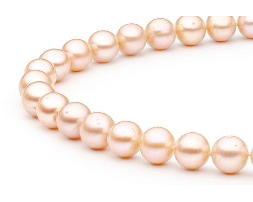 Necklace :: FORP611 / 4035 Necklace :: FORP611 / 4035