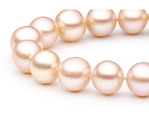 Bracelet :: FORP611-B / 4036 Bracelet :: FORP611-B / 4036