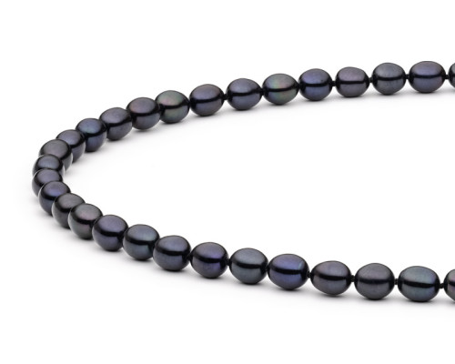 Necklace :: FCB365 / 4080 Necklace :: FCB365 / 4080