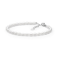 Bracelet :: FCW355-B / 4107