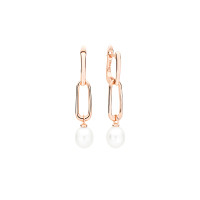 Earrings :: SK21477GEL / 4176