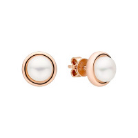 Earrings :: SK22525GE / 4517