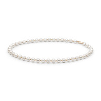 Necklace :: FARWGLB685 / 4533