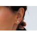 Earrings :: SK23224E / 4643