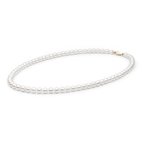 Necklace :: FARWGLY575-M / 4860