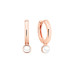 Earrings :: SK24211GEL / 4937