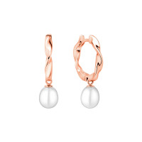 Earrings :: SK24216GEL / 4945