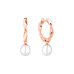 Earrings :: SK24216GEL / 4945