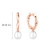 Earrings :: SK24216GEL / 4945