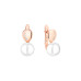 Earrings :: SK24222GEL / 4957