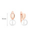 Earrings :: SK24222GEL / 4957