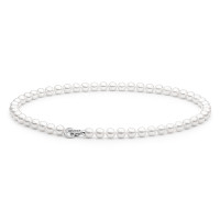 Necklace :: FARWY685-M  / 4998