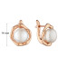 Earrings :: SK24337GEL / 5014
