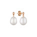 Earrings :: MS24494GE / 5102