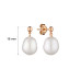 Earrings :: MS24494GE / 5102