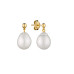 Earrings :: MS24495YE / 5103