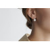 Earrings :: MS24495YE / 5103