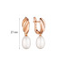 Earrings :: SK25101GEL / 5201