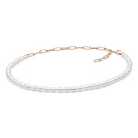 Necklace :: 252-38C / 5278