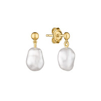 Earrings :: MS25253GYE / 5293