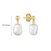 Earrings :: MS25253GYE / 5293