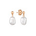 Earrings :: MS25254GE / 5294