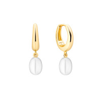 Earrings :: SK25224GYEL / 5350