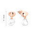 Earrings :: SK25229GE / 5354