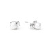 Earrings :: EFB05-NW / 5416