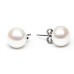 Earrings :: EFB10-NW / 5442