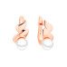 Earrings :: SK25363GEL / 5480
