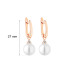Earrings :: SK25371GEL / 5501